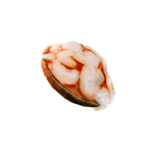 Animal Fat